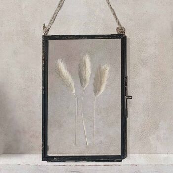 Vintage Pressed Flower Frame: Small Dried Bunny Tails, 3 of 7
