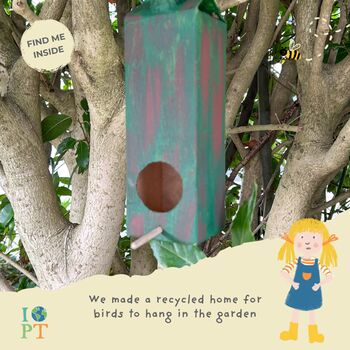 Children's Eco Activity Box: The Secret Life Of Birds, 7 of 11