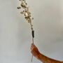 Ivory And Gold Honesty Stem, thumbnail 1 of 5