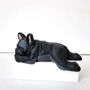 Sleeping French Bulldog Black, thumbnail 1 of 6