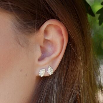 Sterling Silver Oak Leaf Stud Earrings, 2 of 6