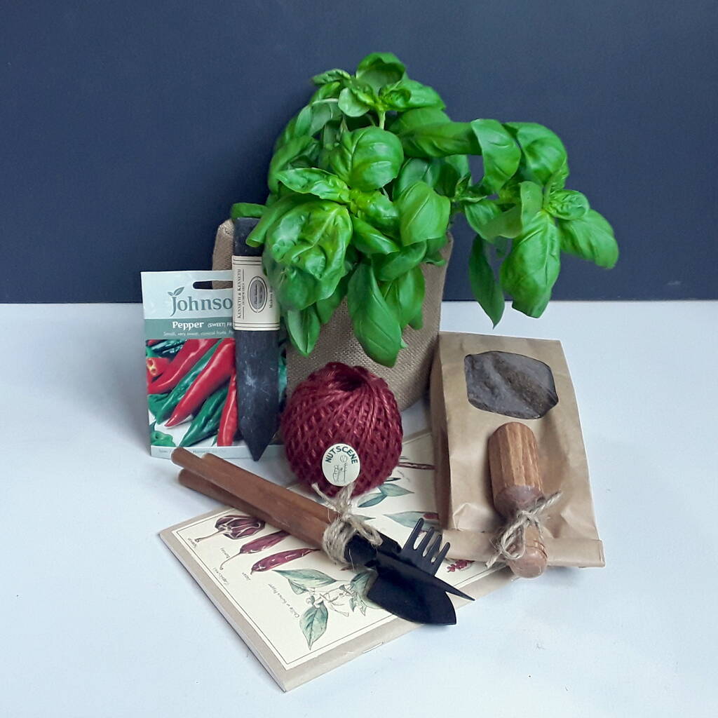 Grow Your Own Chilli Plant Garden Set, 1 of 6