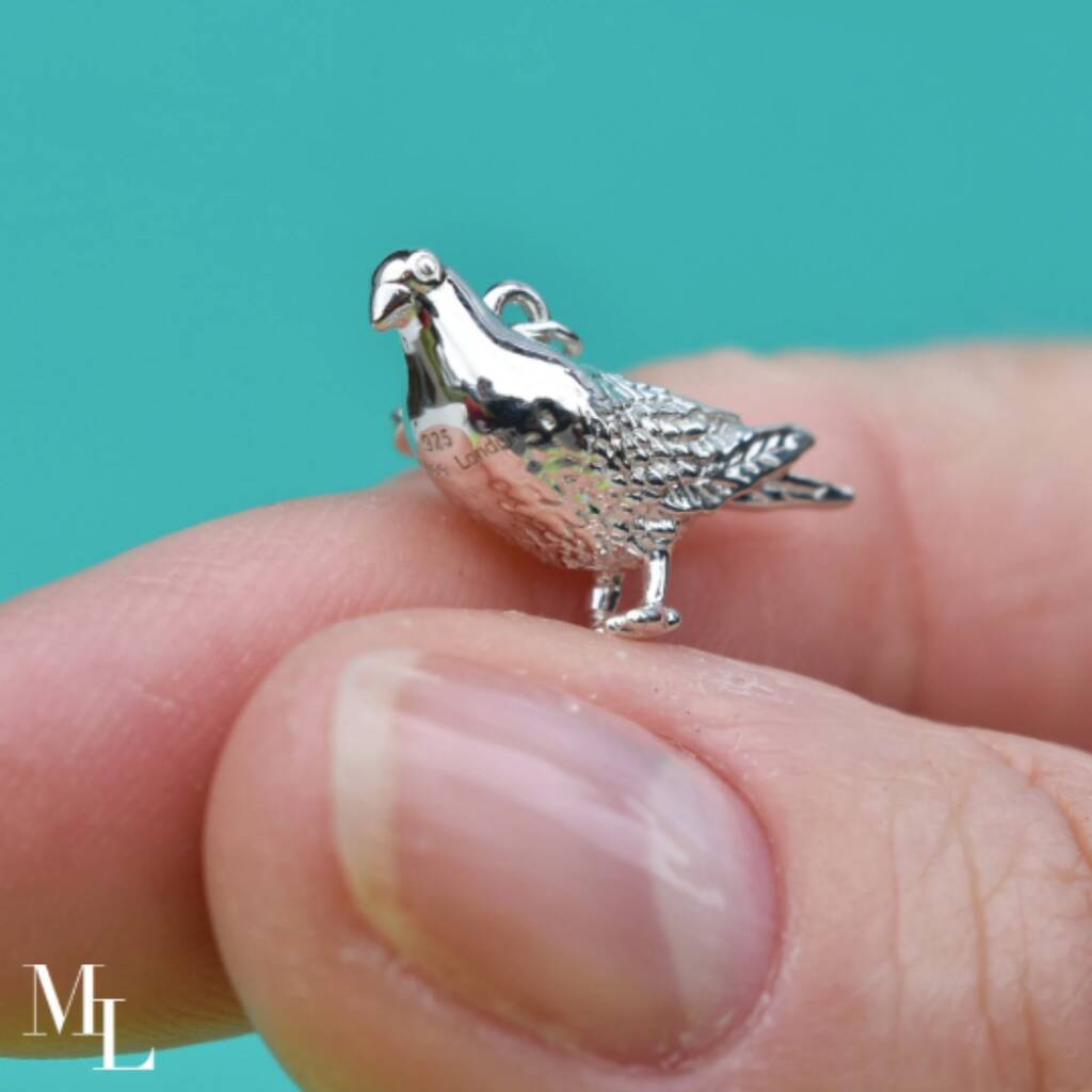 12 Great Gifts For Pigeon Lovers – Pigeonpedia