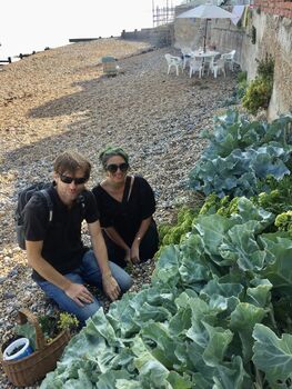 Foraging With Sea Swim And Beach Picnic, 5 of 8