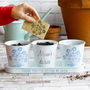 Personalised Pots And Daisy Seeds, thumbnail 1 of 6