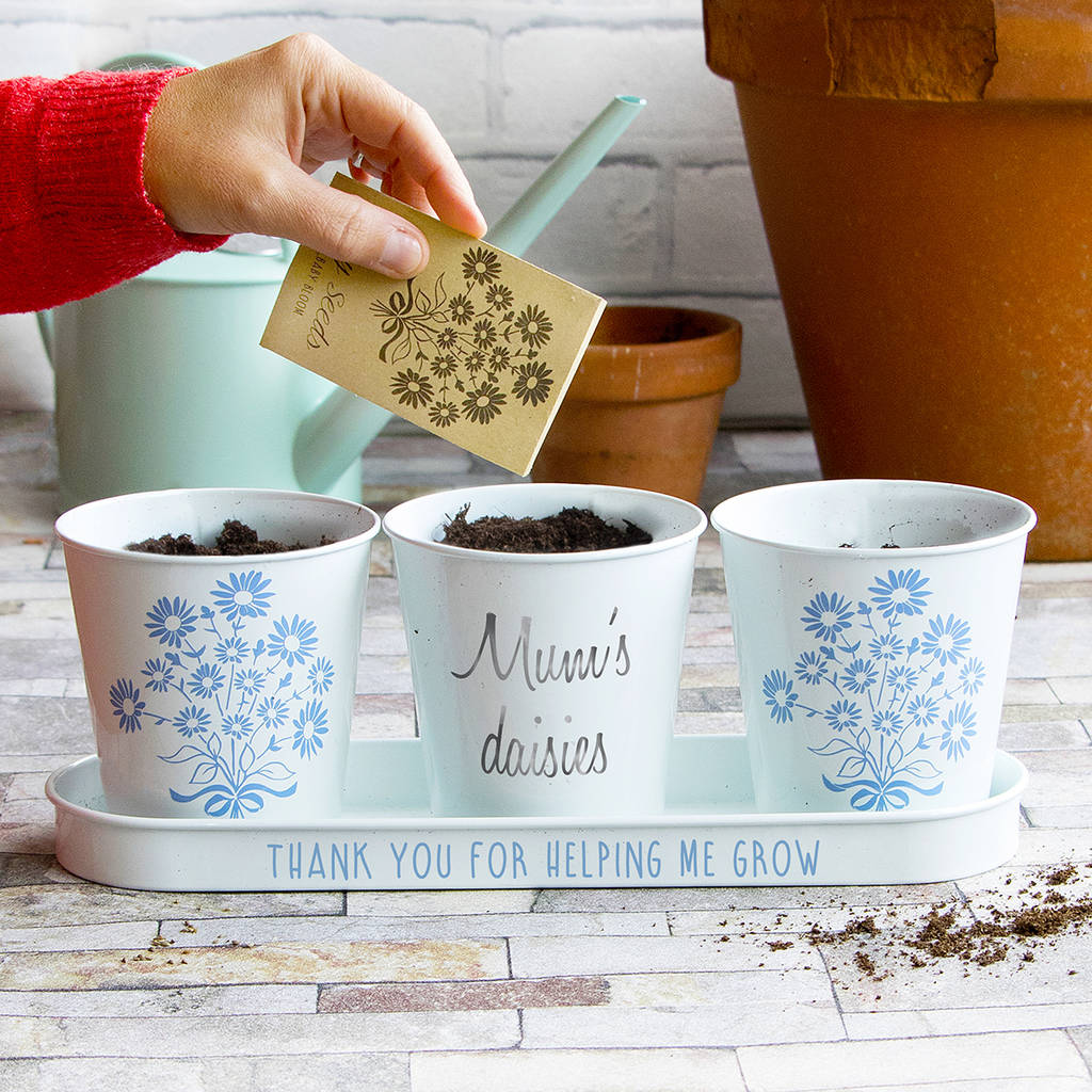 Personalised Pots And Daisy Seeds, 1 of 6