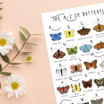 The A To Z Of Butterflies Print, 5 of 6