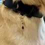 Smoky Quartz Pet Collar Charm, thumbnail 2 of 3