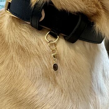 Smoky Quartz Pet Collar Charm, 2 of 3