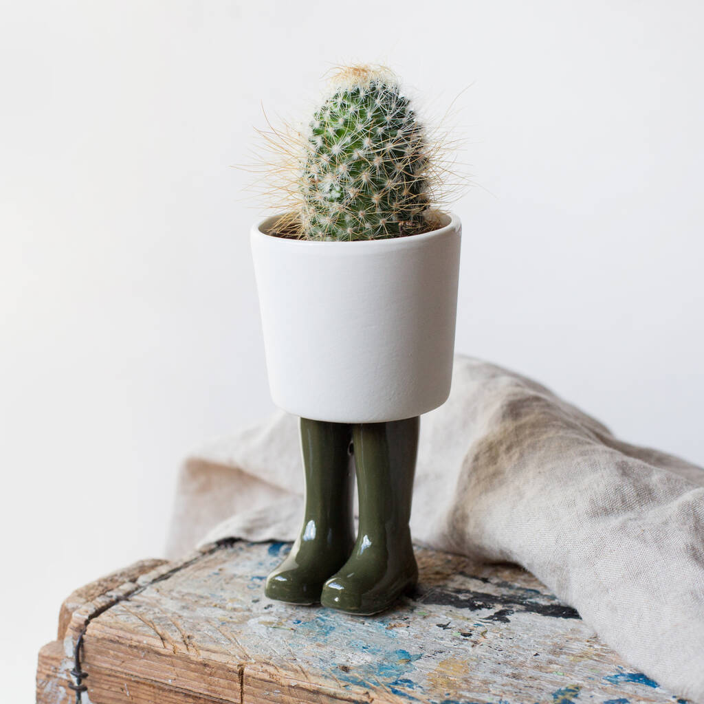 Wellington Boot Plant Pot By Home & Glory
