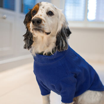 Personalised Dog Fleece In Royal Blue, 2 of 4