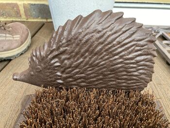 Cast Iron Hedgehog Boot Brush And Scraper Welly Cleaner, 3 of 8