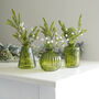 Olive Green Glass Bud Vases Set Of Three, thumbnail 1 of 3