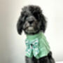 Powder Blue/Peppermint Cosy Knit Dog Jumper, thumbnail 1 of 12
