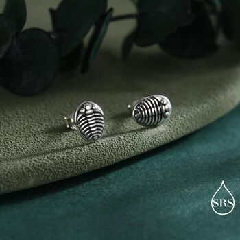 Oxidised Trilobite Fossil Stud Earrings In Sterling Silver, 6 of 11