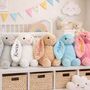 Personalised Bunny Soft Toy – Gift For Baby | Plushie, thumbnail 1 of 5