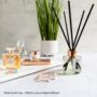 Luxury Eco Home Reed Diffuser Rose Gold, Silver Or Gold, thumbnail 5 of 9
