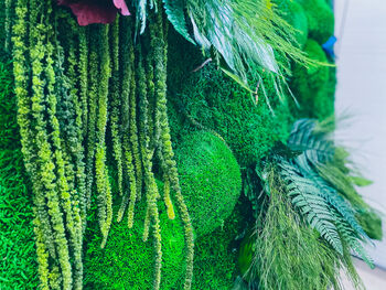 Moss Wall Art With Preserved Flowers, 4 of 12