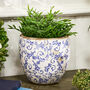 Solene Blue Botanical Planter, thumbnail 1 of 7