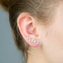 Silver Crystal Climber Earrings, thumbnail 1 of 4