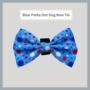 Blue Polka Dot Dog Bow Tie, thumbnail 1 of 3