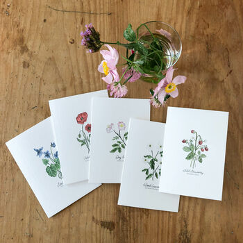 ‘Dog Rose’ Wildflower Notecard/Greeting Card, 2 of 2