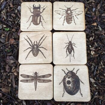 Wooden Bug Coasters, 2 of 3