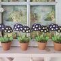 Primula Auricula Wooden Flower Decoration Gift, thumbnail 5 of 5