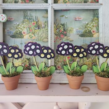 Primula Auricula Wooden Flower Decoration Gift, 5 of 5