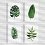 Tropical Leaf Print Set Of Four Illustration, thumbnail 1 of 5