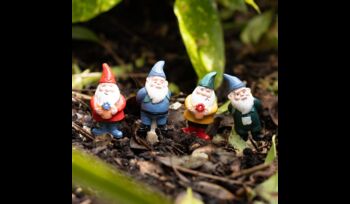 Garden Gnomes Set, 4 of 6