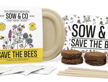 Save The Bees Seed Set, 5 of 5