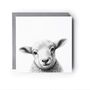 Bootes The Lamb Wildlife Greeting Card, thumbnail 6 of 6