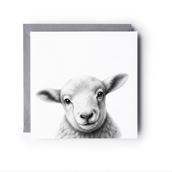 Bootes The Lamb Wildlife Greeting Card, 6 of 6