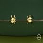Sterling Silver Mismatched Beetle Screw Back Stud Earrings, thumbnail 2 of 11