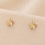 Gold Plated Sterling Silver Textured Star Stud Earrings, thumbnail 1 of 8