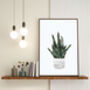 Snake Plant Gold Green Wall Art Print, thumbnail 4 of 5