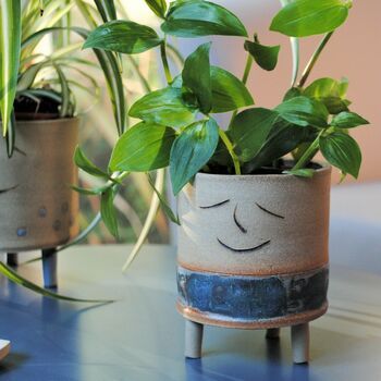 Smiley Face And Fish Plant Pot Personalised, 2 of 9