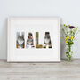 Personalised Framed Cat Photo Print, thumbnail 1 of 6