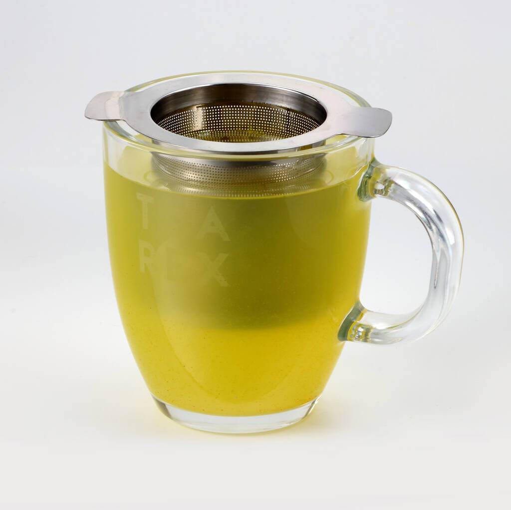Tea Rex Reusable Eco Infuser By TEA REX