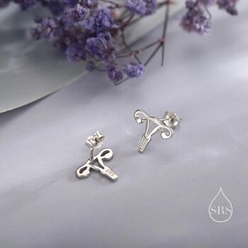 Sterling Silver Female Anatomy Stud Earrings, 4 of 12