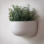 Ceramic 'Wide' Wall Planters, thumbnail 4 of 7