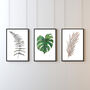 Pampas Grass A3 Art Print, thumbnail 4 of 4