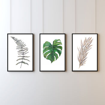 Pampas Grass A3 Art Print, 4 of 4