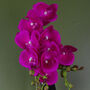 Pink Artificial Orchid Plant Gold Pot 54cm Real Touch, thumbnail 3 of 3