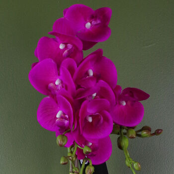 Pink Artificial Orchid Plant Gold Pot 54cm Real Touch, 3 of 3