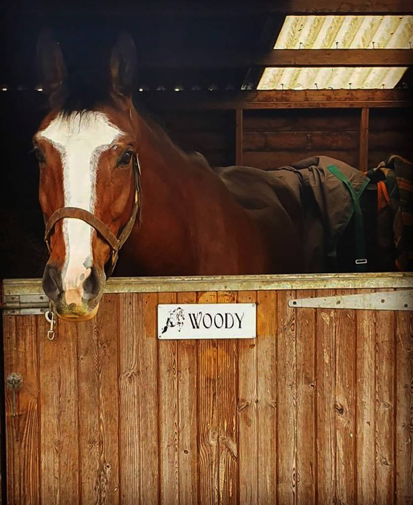 Personalised Stable Door Name Sign/Plaque 