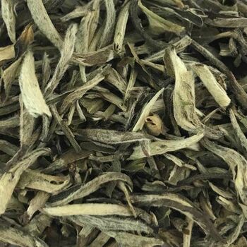 Silver Needle Loose Leaf White Tea, 2 of 2