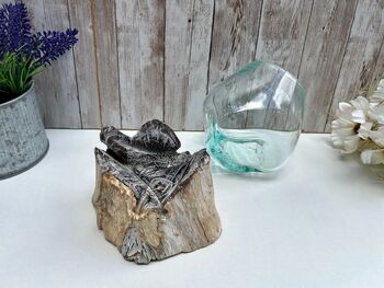 Handcrafted Molten Glass Bowl On Natural Driftwood, 5 of 6