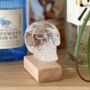 Skull Storm Glass Weather Predictor, thumbnail 1 of 3